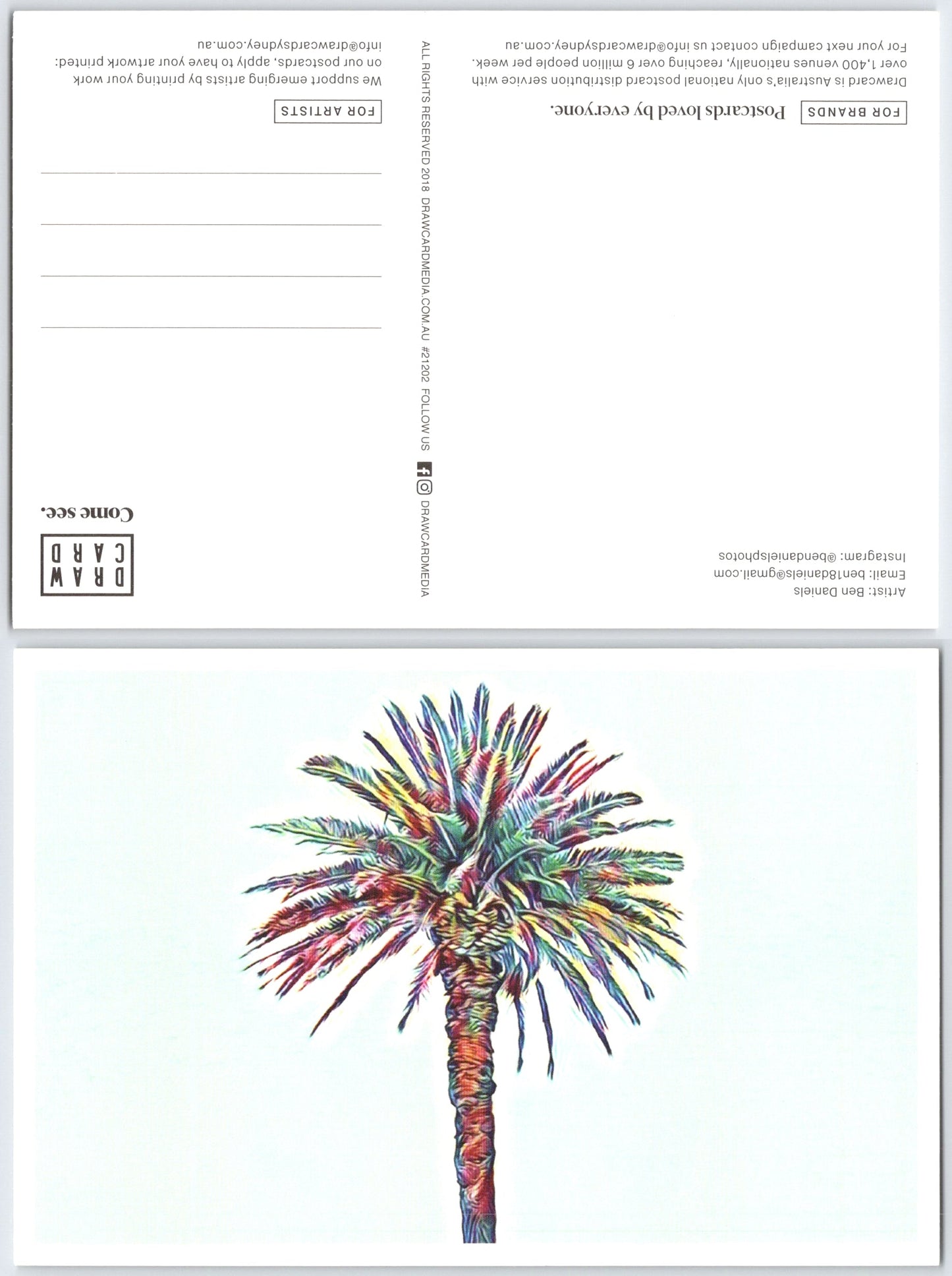 Coloured Palm Postcard