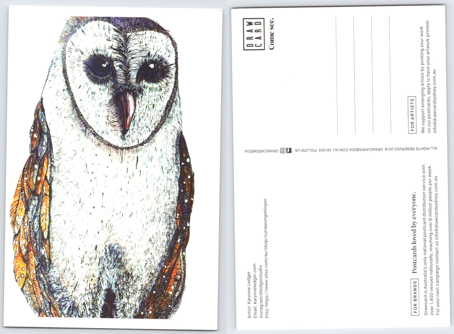 Owl Postcard