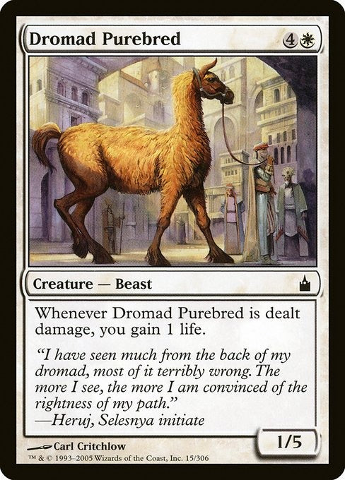 Card # RAV 15 Dromad Purebred Ravnica: City of Guilds