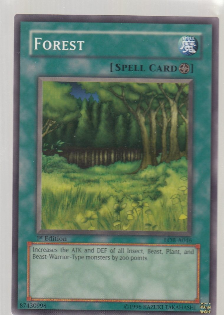 Forest 1st Edition Legend of Blue Eyes lob-0461st-ed