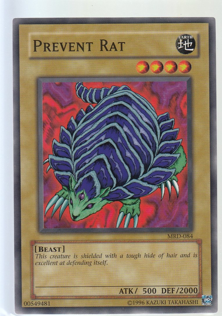 Prevent Rat Metal Raider mrd-085