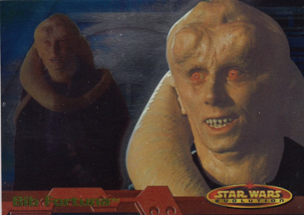 9 Bib Fortuna