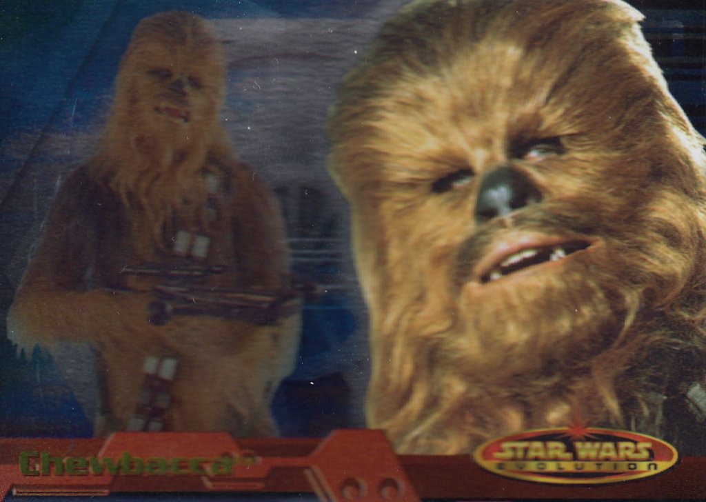 19 Chewbacca
