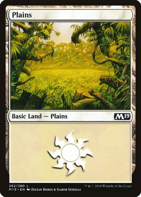Card # 263  Plains Magic 19