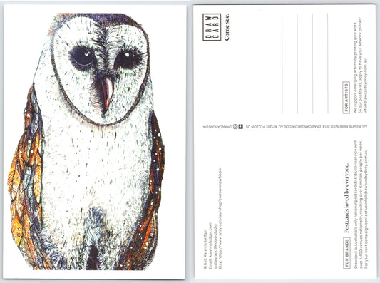 Owl Postcard