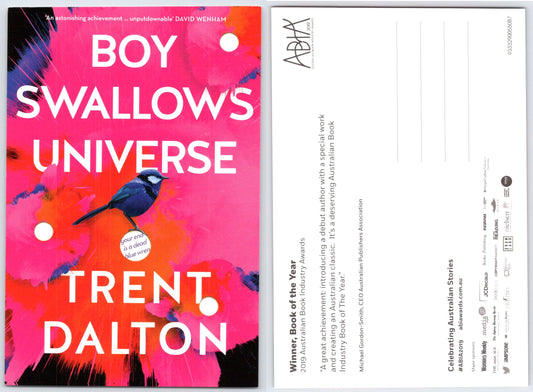 Boy Swallows the Universe Flyer