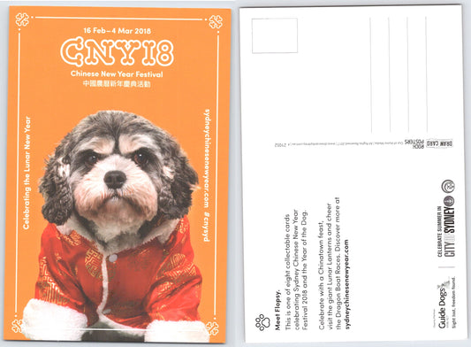 Chinese New Year 2018