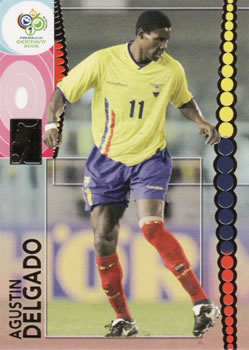 Agustin Delgado #87 2006 World Cup