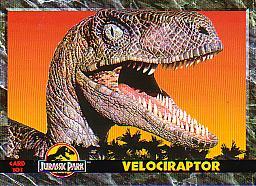 Velociraptor