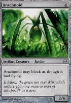 Arachnoid