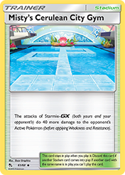 Misty's Cerulean City Gym 61 / 68 hidden-fates-61