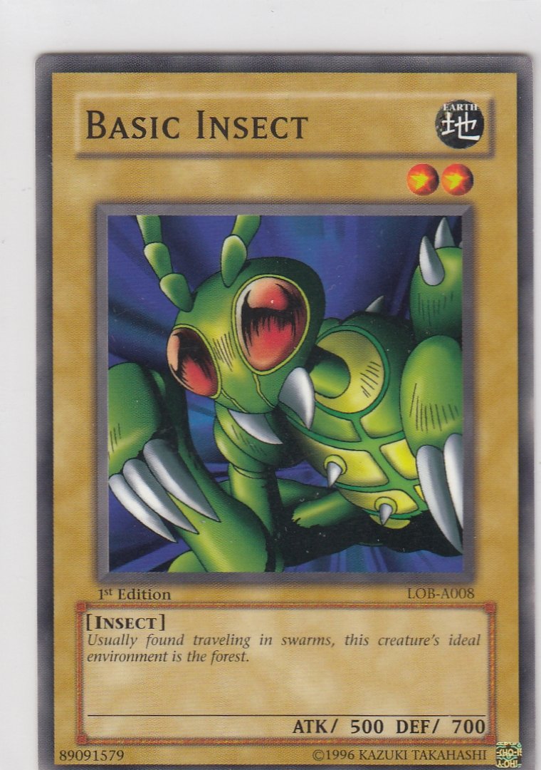 Basic Insect 1st Edition