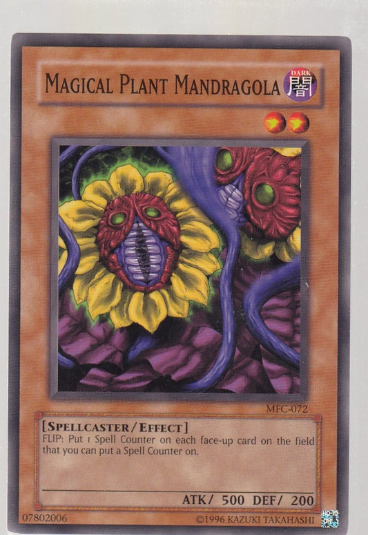 Magical Plant Mandragola