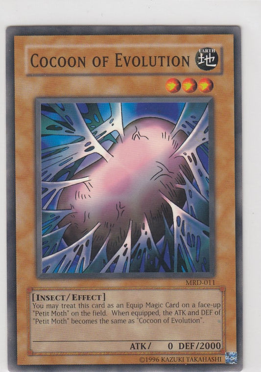 Cocoon of Evolution