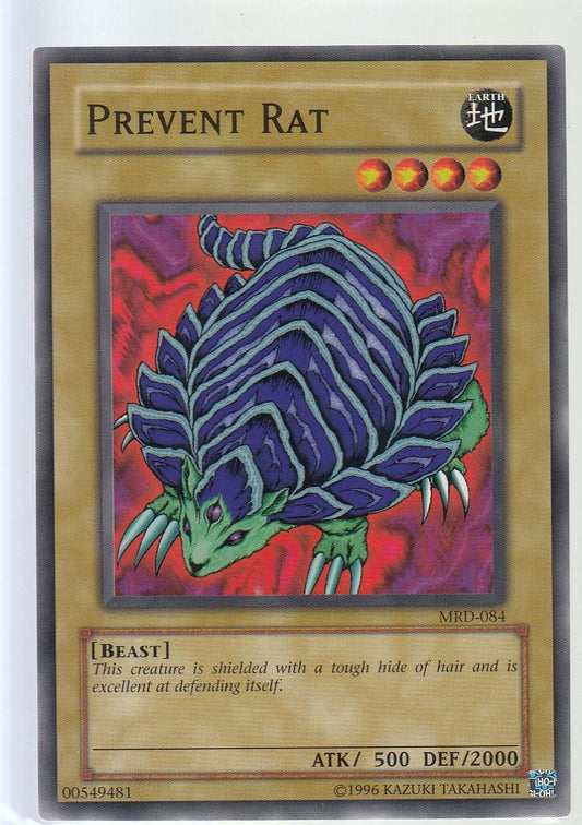 Prevent Rat
