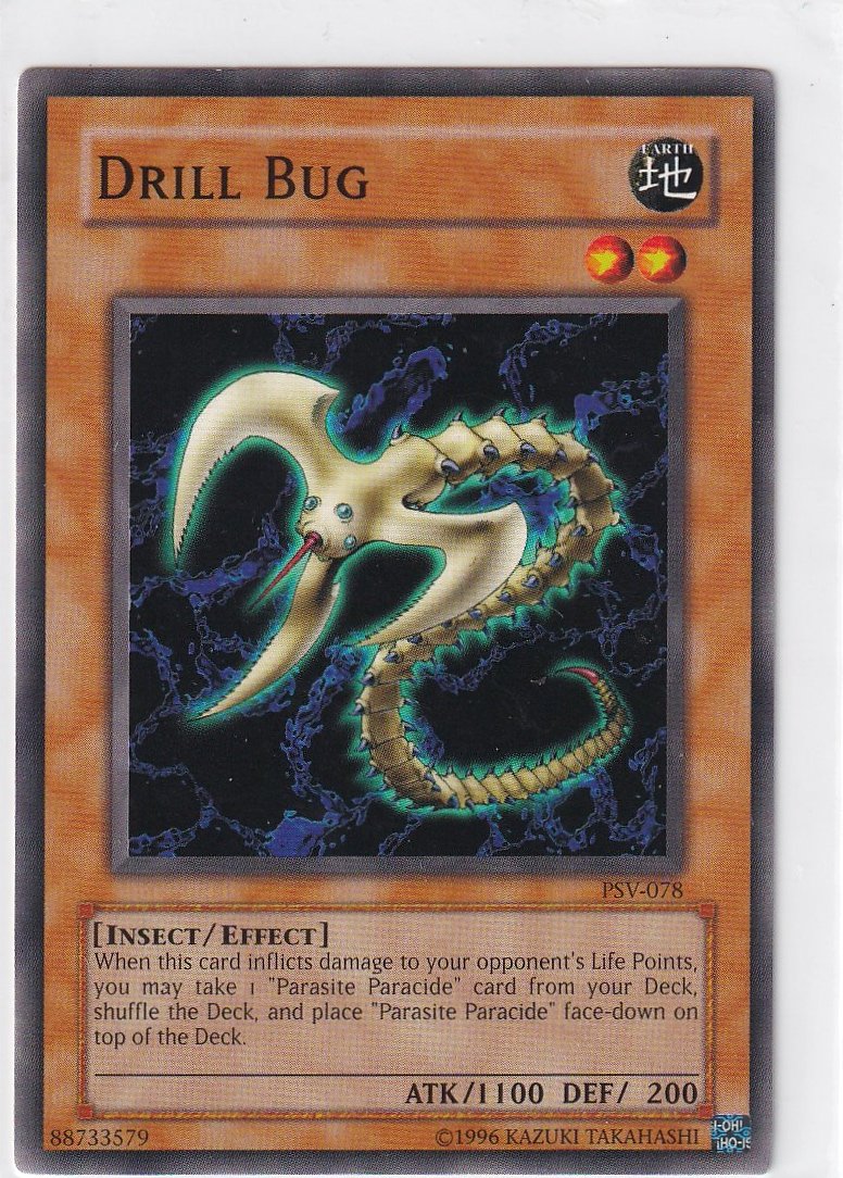 Drill Bug