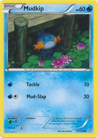 Mudkip 33 / 164 XY Primal Clash