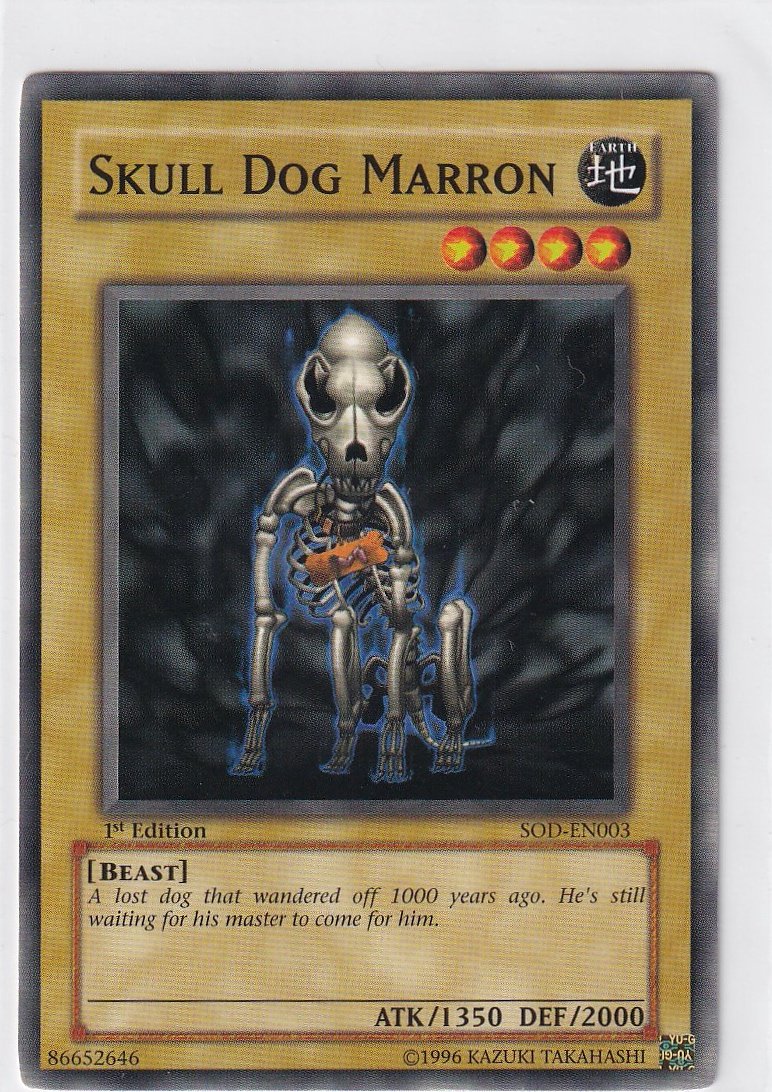 Skull Dog Marron