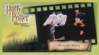 Harry and Hedwig