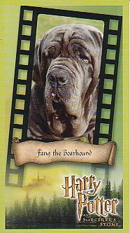 Fang the Boarhound