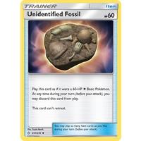 Unidentified Fossil 207 /236