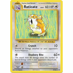 Raticate 67 /113 evolutions-67